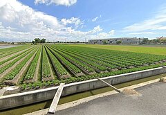 【承辦】三斤獨家❤️埔鹽地形超漂亮農地1.2萬/坪