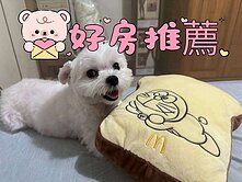 竹南/竹科🚩輕屋齡兩房兩衛~視野戶