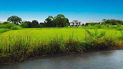 壽豐忠孝新村 農地 | 可分割出售