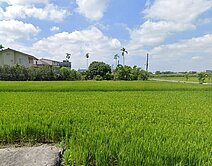 龍肚國小獅山社區農地