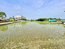 🌟信實逸瑄🌟承辦#芬園3.6分優良農地