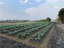 🍎稀少爆發潛力地段臨路都內城一｜員林交流道特定區