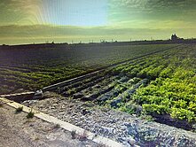 📣📣雲林平坦方正美田