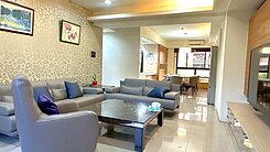 廣豐/置地廣場/桃大富林苑/雙車位/露臺戶