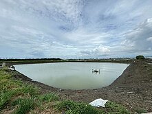 永安區永新路近市區養殖魚塭.有水電有塭寮