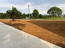 🌳悠活三林一期最後2塊