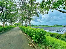 💎永安區✨近工業區✨湖畔公園美麗農地✨