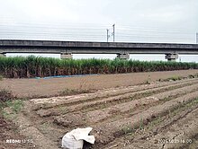 善化溪美一般農業區農地2