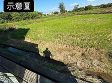 164大園近交流道和平西路旁美農地