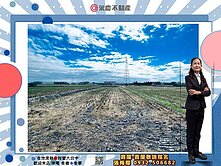 💕永慶梅櫻大肚追分段都計內地形四正293坪農地