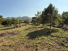 近走馬瀨1.1公頃造林平地【S193】