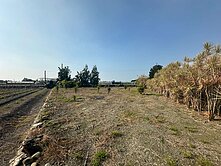 花卉之鄉 臨路土地出售