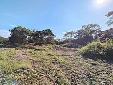 近關西市區 東光段 臨路都計內農地 