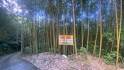 專約~新樂國小~尖石露營區~農地1499坪