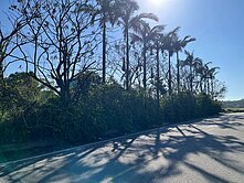 108大園區大面寬雙面路一般農