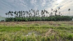 里港近市場全聯附近休閒小都農低總價