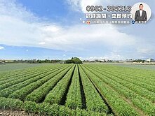 活路有水電‼️方正千坪臨路農地找健豪✨