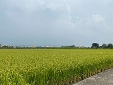 ☀️鉅仲代書☀️彰化國道3號大面寬節稅農地