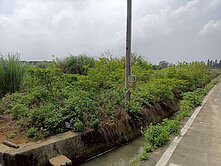 觀音區280坪農地