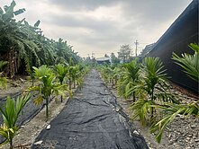 長治近交流道農地