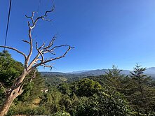 台慶重安北屯都計農地最便宜