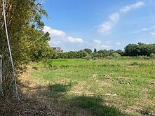 彤彤推薦~A19青埔棒球場旁休閒農做首選特定農地