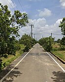 彤彤推薦~新屋大坡段三角堀田園美境的休閒農地