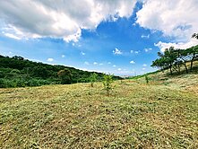 假日【城市農夫】楊梅交流道 楊光小學 景觀農地