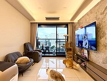 中山醫｜櫻花孩子王2｜大兩房獨立平車｜百萬精裝