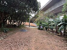 *緹疄推薦*沙鹿小巧保護地