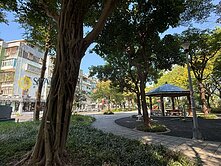 專任【圓璽冠軍品元】內科房東就是您，投報3%起