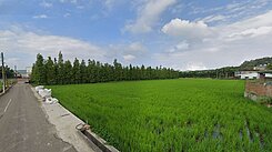 大矽谷都計內農地