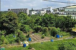 大矽谷頭份交流道旁投資農地