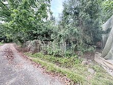 楠西博愛路巷內約5分低總價超值持分農地