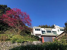 陽明山遠眺101景觀別墅