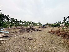🍀屏東內埔｜近富田國小休閒農地
