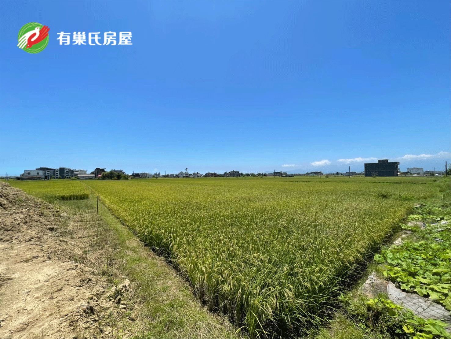 玉田大面寬足坪剛剛好農地❤️愛的團隊✨有巢扉扉