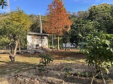 近園區 ~合法資材室~ 樂活度假農地