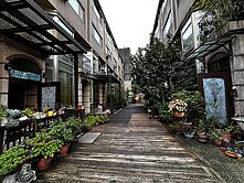 內壢邊間花園透天別墅