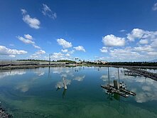 鹽埔6分方正有水電農地