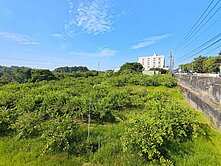 燕巢區大地坪農牧地