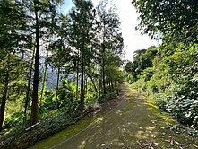 竹山休閒渡假｜獨棟大地坪｜丙建｜懷舊平房