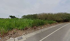 🌾專任出價談～彰化西濱快速道路入手低總價臨路農地