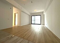 邦尼🌼機捷好市多｜鉅虹映一彎綠大三房平車