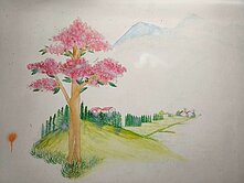 溫馨三房乘載滿滿的愛🌞新北首購推薦朱梓銘