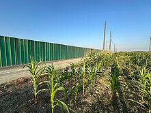 毗鄰南科三期特定區農地