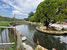 ‼️俗‼️石岡區鐵馬道旁田