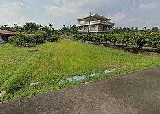 杰洋~高樹近市區的都內開心農場H另有2塊可合購