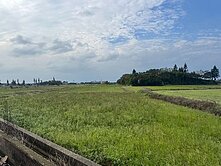 新屋正東福路農地
