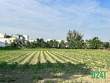 【鹽水715福吉8米路豪宅建地】